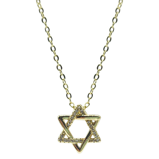 NEW FOR THE HOLIDAYS!!  Sliding pave Star of David Necklace